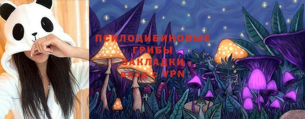 прущая мука Вязники